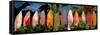 Beach Scene with Wall of Surf Boards, Hawaii II-Markus Bleichner-Framed Stretched Canvas
