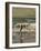 Beach Scene-Winslow Homer-Framed Giclee Print