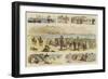 Beach Scenes-null-Framed Giclee Print