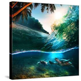 Beach Sea and Ocean-null-Stretched Canvas