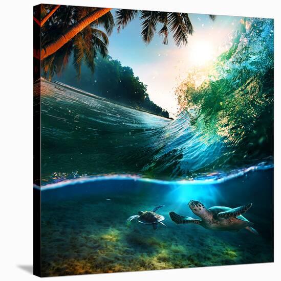 Beach Sea and Ocean-null-Stretched Canvas