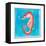 Beach Seahorse-Ormsby, Anne Ormsby-Framed Stretched Canvas