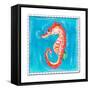 Beach Seahorse-Ormsby, Anne Ormsby-Framed Stretched Canvas