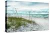 Beach Secrets-Mary Lou Johnson-Stretched Canvas