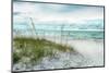 Beach Secrets-Mary Lou Johnson-Mounted Photo