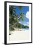 Beach, Seychelles-Robert Harding-Framed Photographic Print