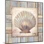 Beach Shell I-Elizabeth Medley-Mounted Art Print