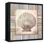 Beach Shell I-Elizabeth Medley-Framed Stretched Canvas