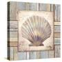 Beach Shell I-Elizabeth Medley-Stretched Canvas