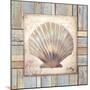 Beach Shell I-Elizabeth Medley-Mounted Premium Giclee Print