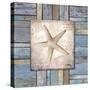 Beach Shell IV-Elizabeth Medley-Stretched Canvas