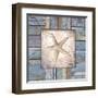 Beach Shell IV-Elizabeth Medley-Framed Art Print