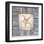 Beach Shell IV-Elizabeth Medley-Framed Art Print