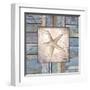 Beach Shell IV-Elizabeth Medley-Framed Art Print