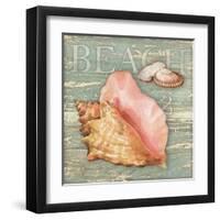 Beach Shells Conch-Julie Paton-Framed Art Print