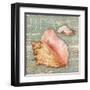 Beach Shells Conch-Julie Paton-Framed Art Print