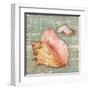 Beach Shells Conch-Julie Paton-Framed Art Print