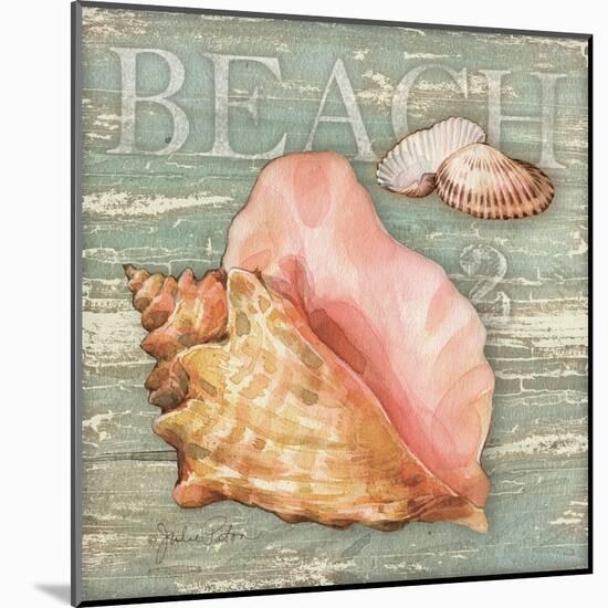 Beach Shells Conch-Julie Paton-Mounted Art Print