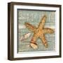 Beach Shells Starfish-Julie Paton-Framed Art Print