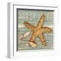 Beach Shells Starfish-Julie Paton-Framed Art Print