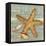 Beach Shells Starfish-Julie Paton-Framed Stretched Canvas