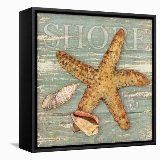 Beach Shells Starfish-Julie Paton-Framed Stretched Canvas