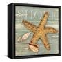 Beach Shells Starfish-Julie Paton-Framed Stretched Canvas