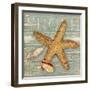 Beach Shells Starfish-Julie Paton-Framed Art Print