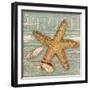 Beach Shells Starfish-Julie Paton-Framed Art Print