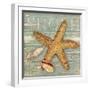 Beach Shells Starfish-Julie Paton-Framed Art Print