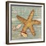 Beach Shells Starfish-Julie Paton-Framed Premium Giclee Print