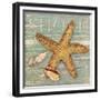 Beach Shells Starfish-Julie Paton-Framed Premium Giclee Print