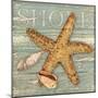 Beach Shells Starfish-Julie Paton-Mounted Premium Giclee Print