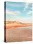 Beach Shores Panel I-Acosta-Stretched Canvas