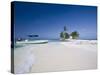 Beach, Silk Caye, Belize-Jane Sweeney-Stretched Canvas