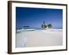 Beach, Silk Caye, Belize-Jane Sweeney-Framed Photographic Print