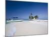 Beach, Silk Caye, Belize-Jane Sweeney-Mounted Photographic Print