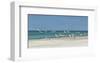 Beach Skimmers-Mary Lou Johnson-Framed Art Print