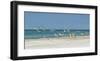 Beach Skimmers-Mary Lou Johnson-Framed Art Print