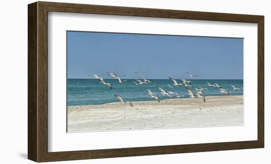 Beach Skimmers-Mary Lou Johnson-Framed Art Print