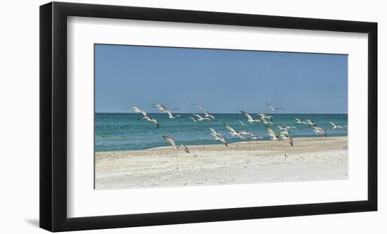 Beach Skimmers-Mary Lou Johnson-Framed Giclee Print