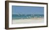 Beach Skimmers-Mary Lou Johnson-Framed Giclee Print