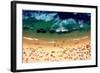 Beach Smile-Vinicius Tupinamba-Framed Photographic Print