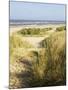 Beach, Southwold, Suffolk, England, United Kingdom-Amanda Hall-Mounted Photographic Print