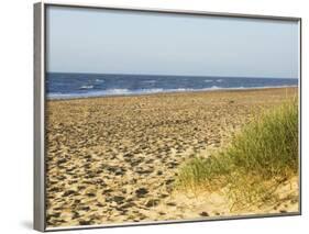 Beach, Southwold, Suffolk, England, United Kingdom-Amanda Hall-Framed Photographic Print