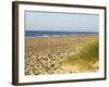 Beach, Southwold, Suffolk, England, United Kingdom-Amanda Hall-Framed Photographic Print