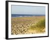 Beach, Southwold, Suffolk, England, United Kingdom-Amanda Hall-Framed Photographic Print