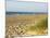 Beach, Southwold, Suffolk, England, United Kingdom-Amanda Hall-Mounted Photographic Print