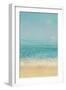 Beach Splatter I Crop-James Wiens-Framed Art Print