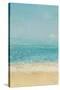 Beach Splatter I Crop-James Wiens-Stretched Canvas